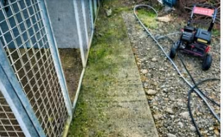 Path before power washing, covered in green moss and algae
